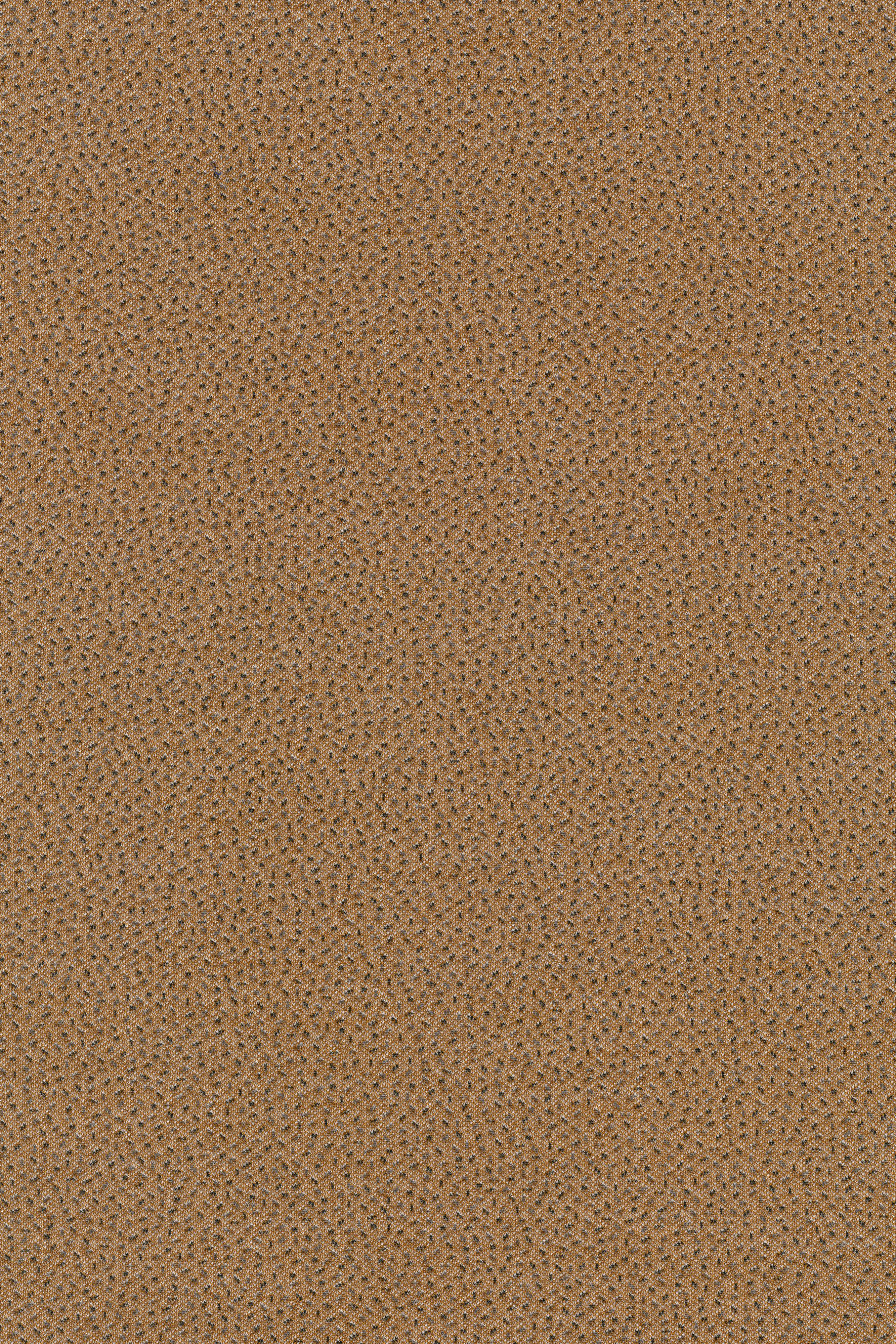 0254