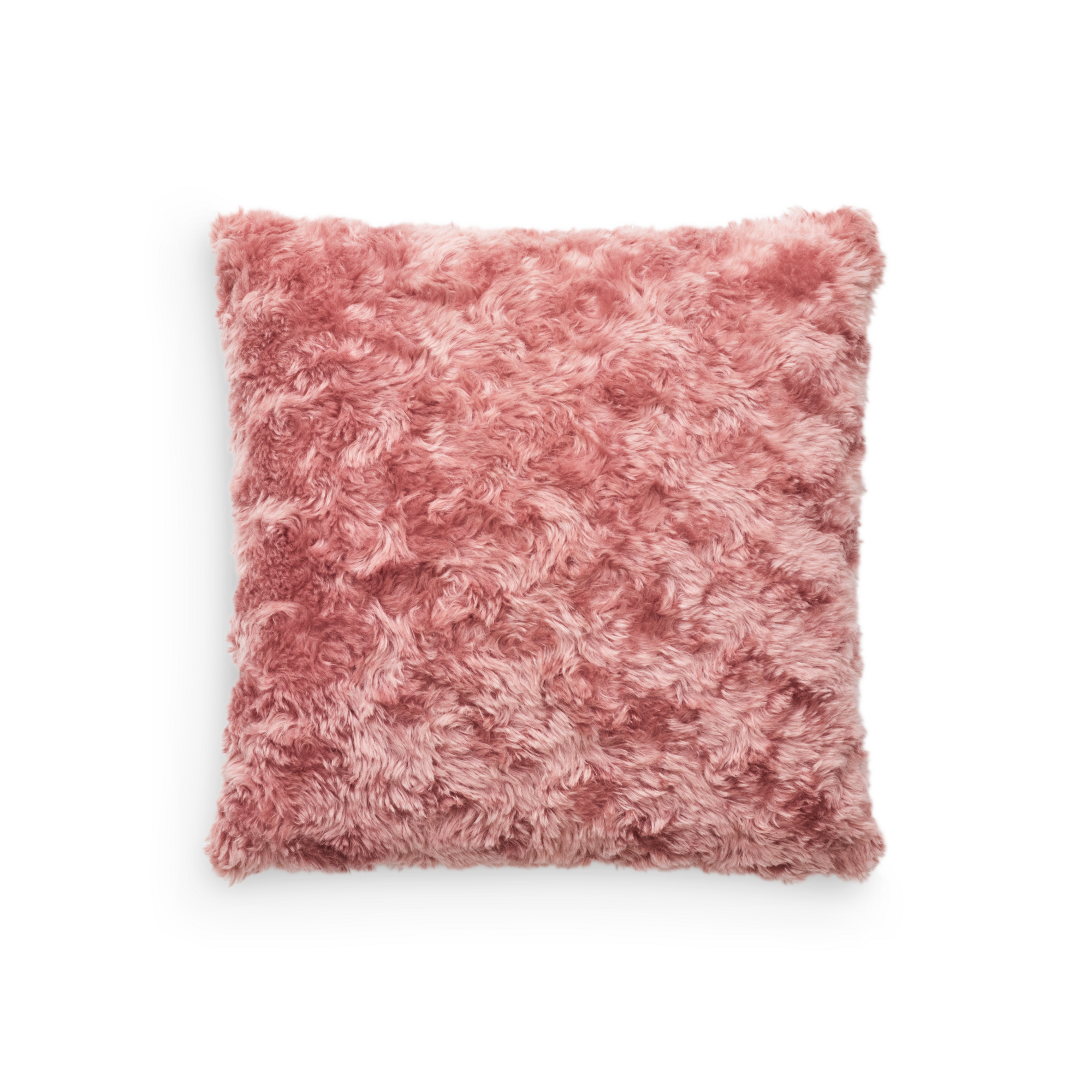KVADRAT/RAF SIMONS Argo クッション 新品 7.6万 Argo 2 cushion 60x60cm