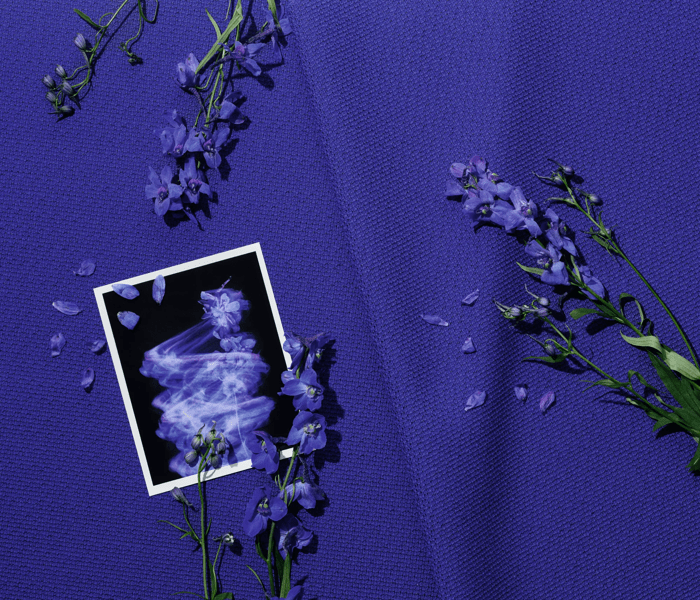 {{ 'Products' || ('Labels.Kvadrat.Client.Campaign.NextCampaignPage' | translate) }}