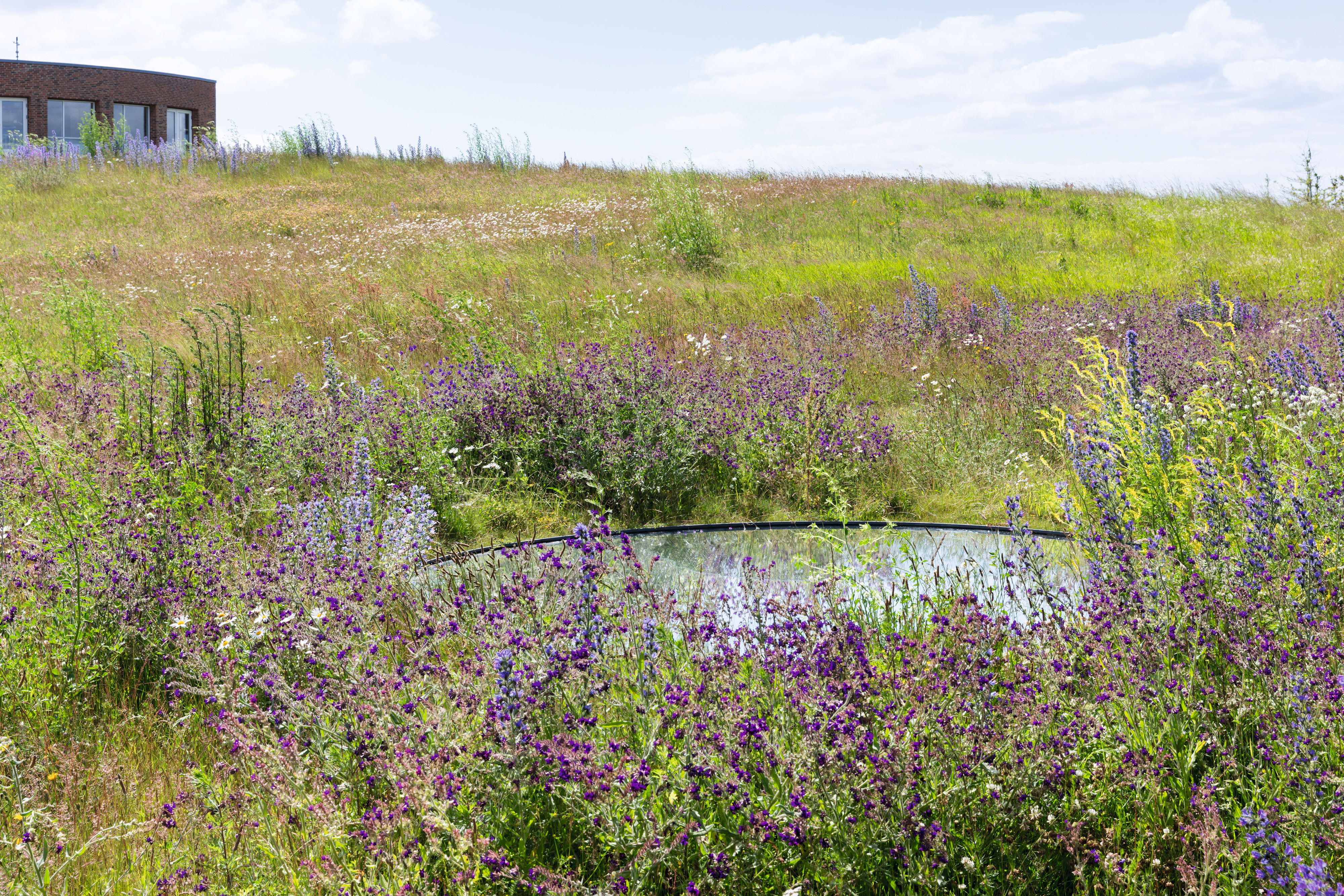 {{ 'Strategy' || ('Labels.Kvadrat.Client.Campaign.PrevCampaignPage' | translate) }}