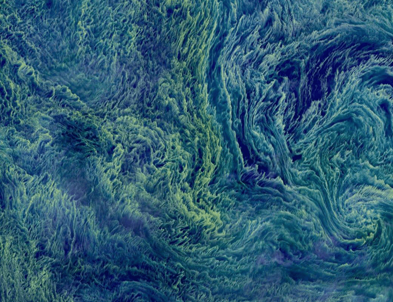 {{ 'Patricia Urquiola' || ('Labels.Kvadrat.Client.Campaign.NextCampaignPage' | translate) }}